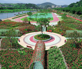 장미공원 사진