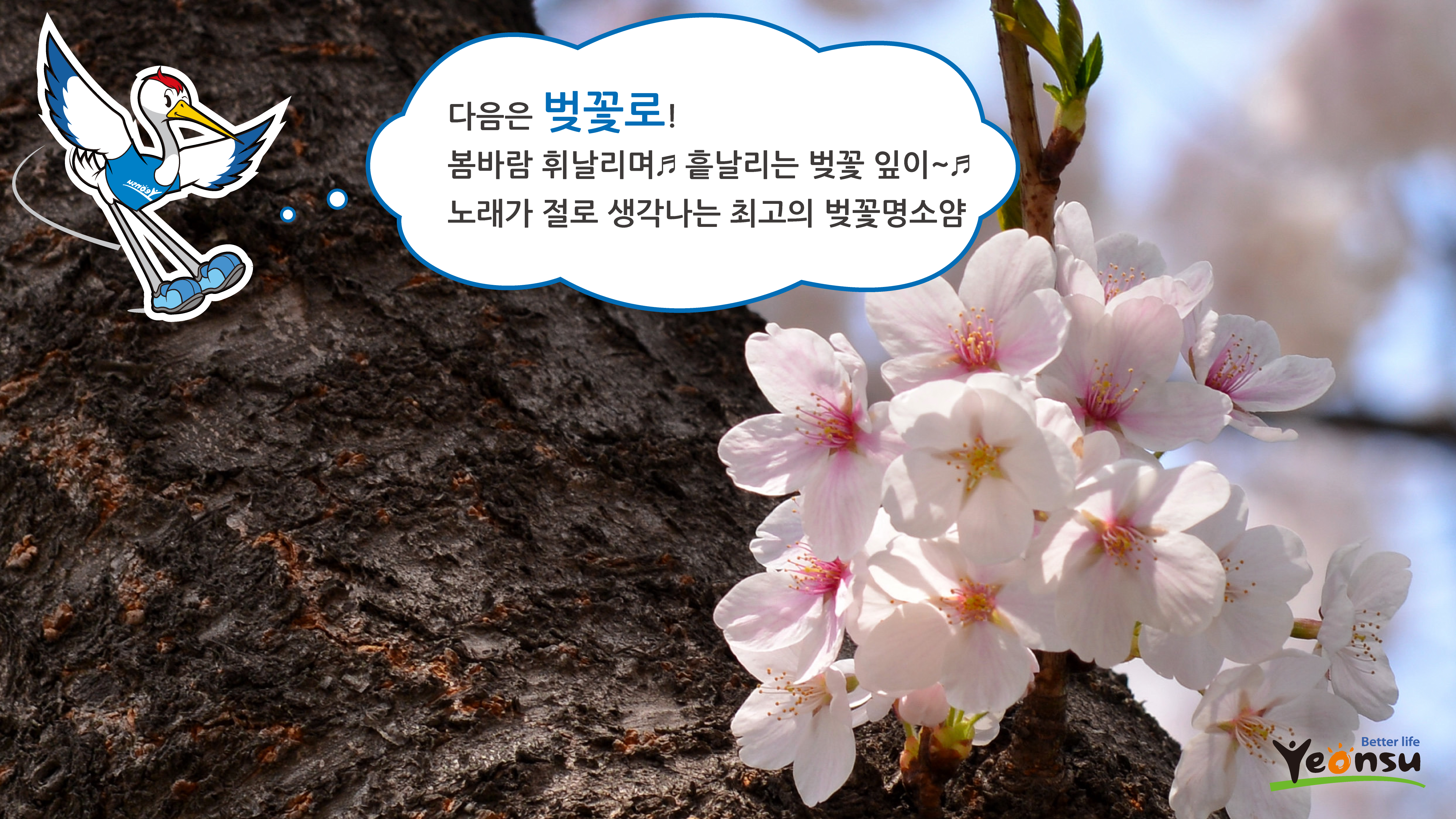 다음은 벚꽃로 ! 
봄바람 휘날리며! 흩날리는 벚꽃 잎이~
노래가 절로 생각나는 최고의 벚꽃명소얌
Better life Yeonsu