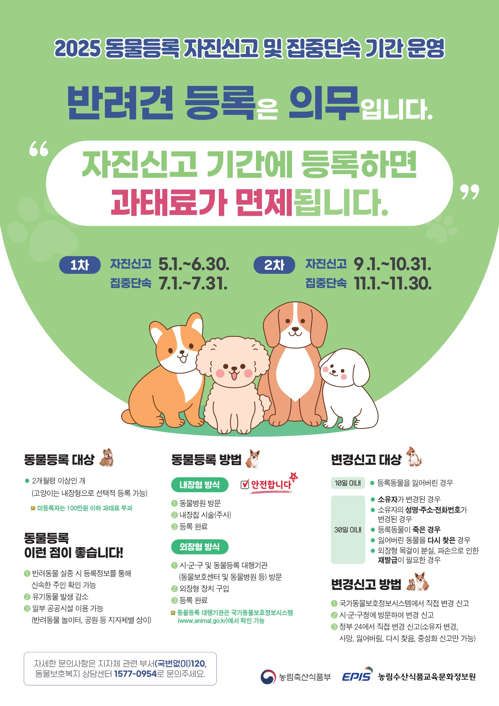 2025년 동물등록 자진신고 및 집중단속 기간 운영의 1번째 이미지