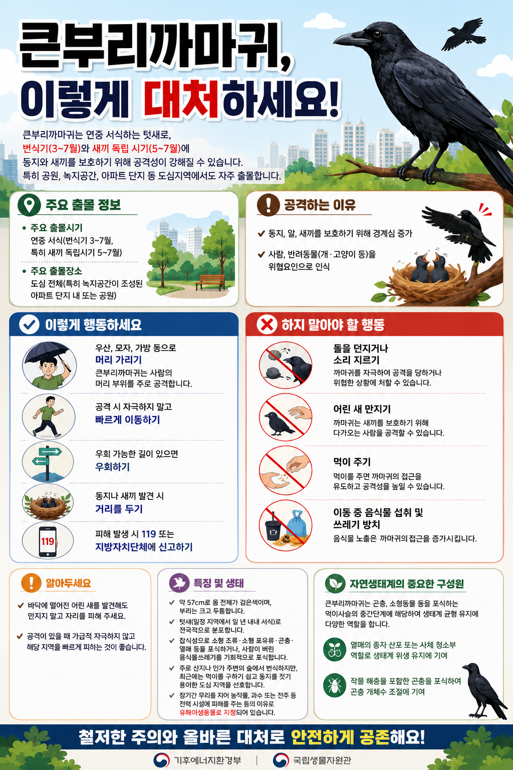 큰부리까마귀, 이렇게 대처하세요!의 1번째 이미지