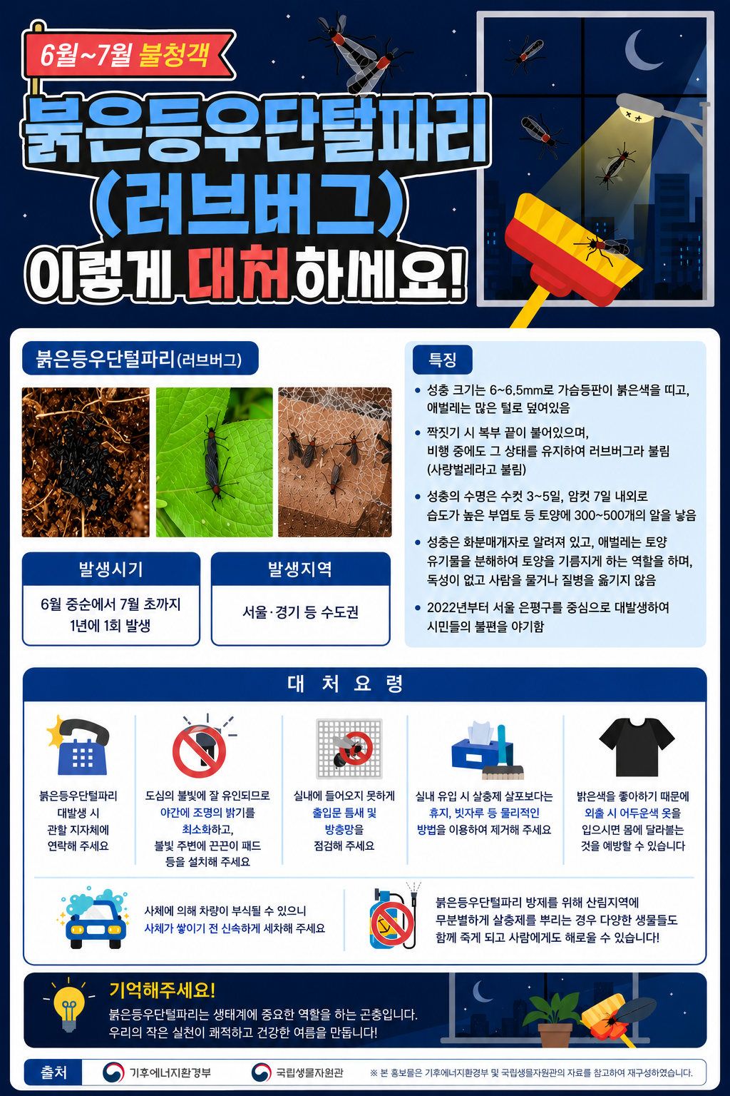 붉은등우단털파리(러브버그) 이렇게 대처하세요!의 1번째 이미지