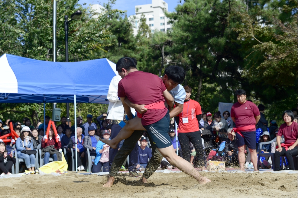 동대항 씨름대회의 1번째 이미지