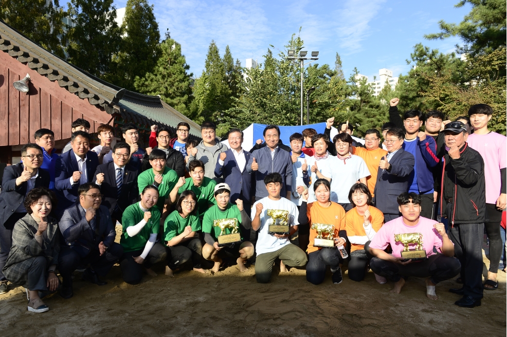 동대항 씨름대회의 3번째 이미지