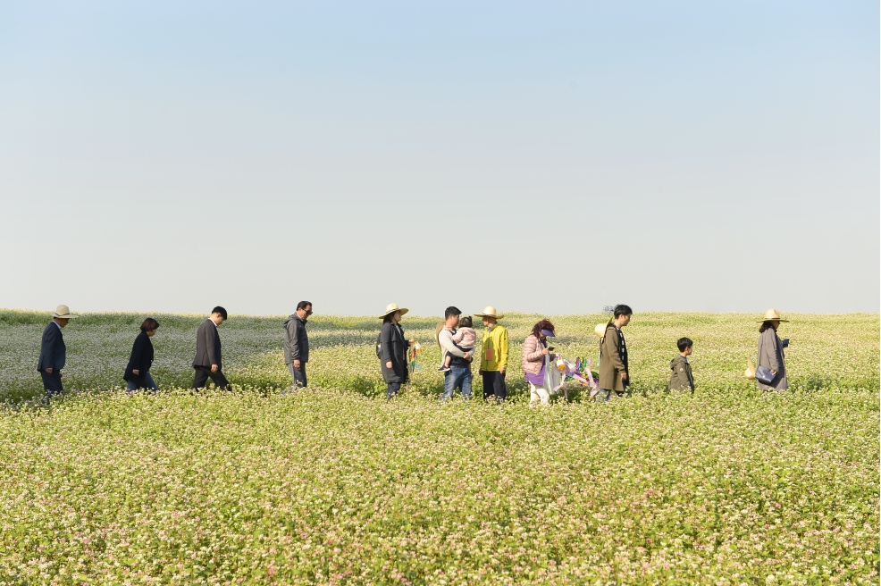 연수구 메밀체험축제의 3번째 이미지