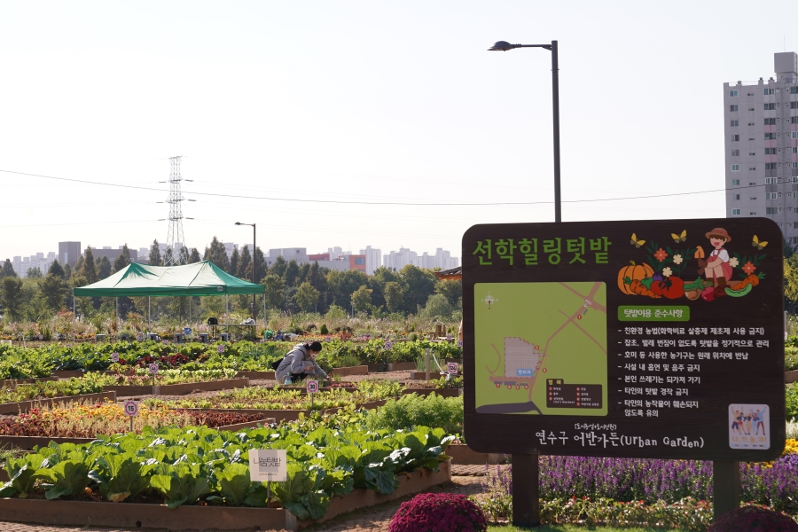 주민들과 함께 만드는 도시정원의 8번째 이미지