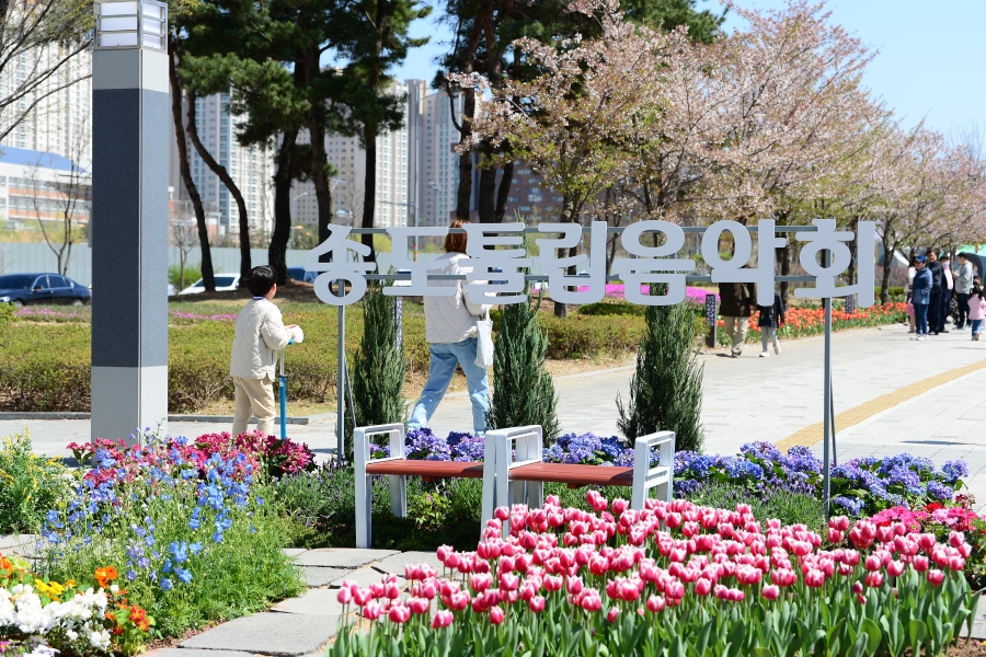송도 튤립음악회의 1번째 이미지