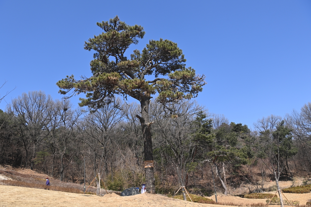 농원근린공원 준공식 현장의 3번째 이미지