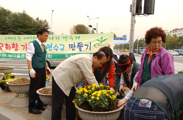 선학사거리 국화꽃 식재의 1번째 이미지