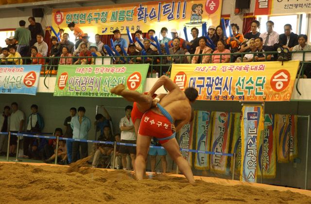 87회 전국체전 참가의 1번째 이미지