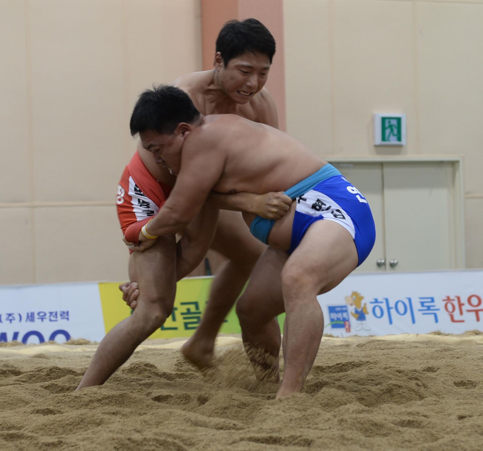 제1회 춘천 소양강배 전국장사 씨름대회응원(체육회임원)의 1번째 이미지