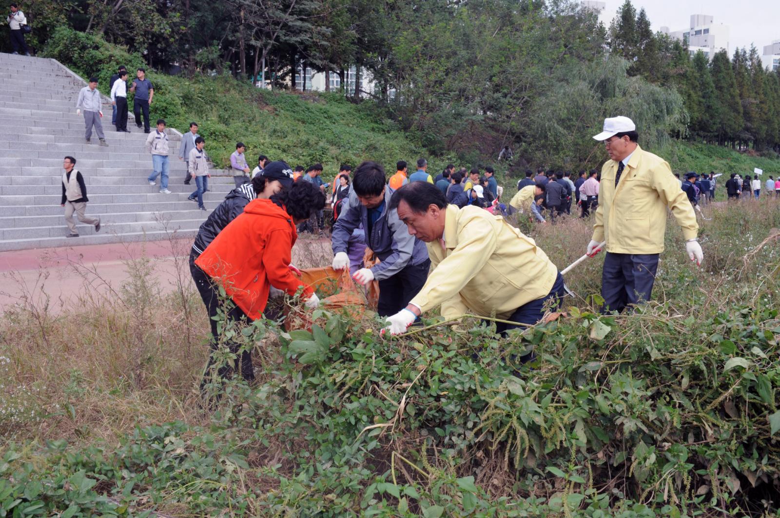 승기천환경정화행사의 1번째 이미지