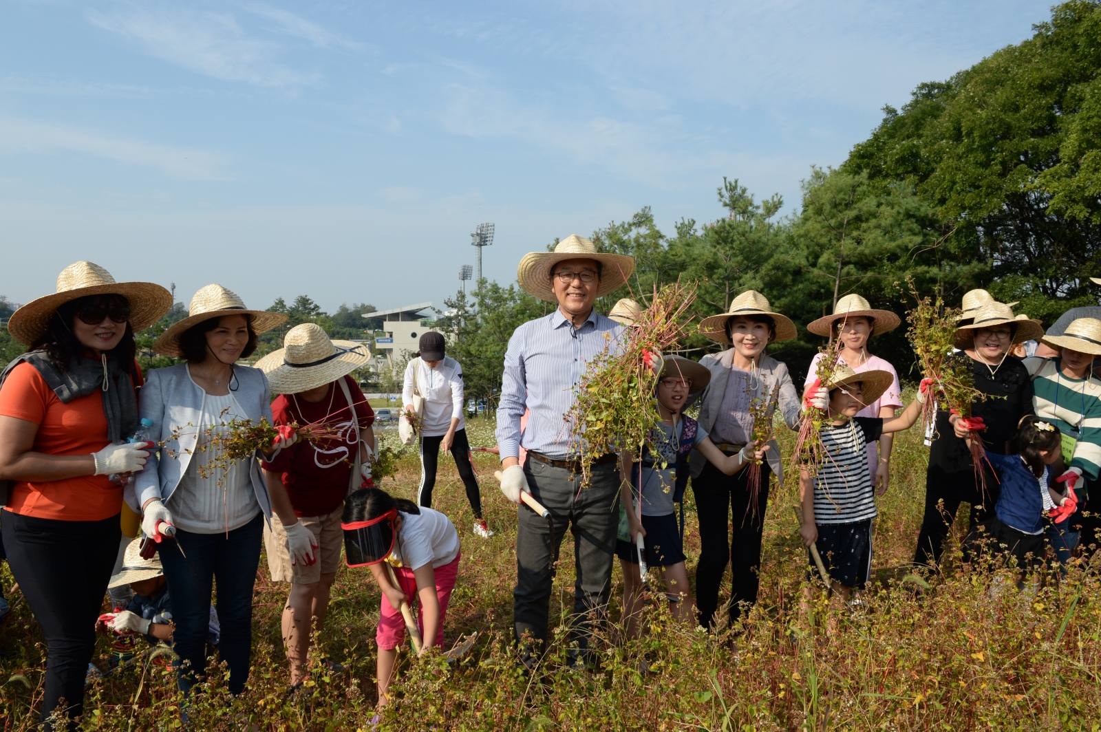 메밀꽃밭 수확체험행사의 1번째 이미지