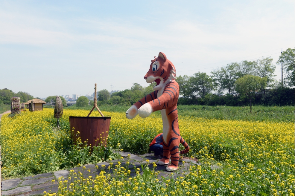 승기천  유채꽃보러오세요.의 3번째 이미지