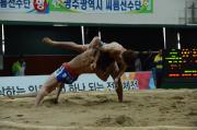체전 연수구씨름단 금메달이미지