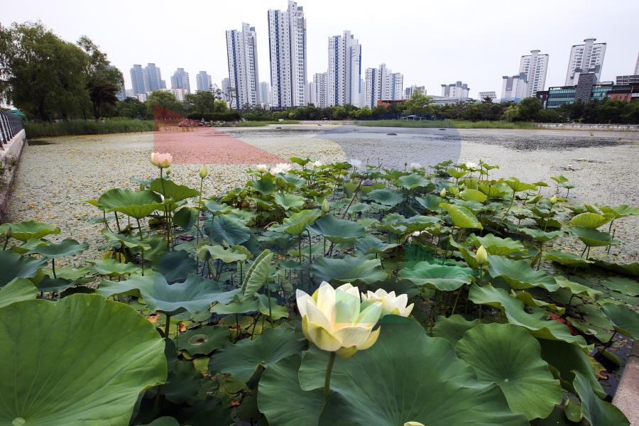 미추홀공원의 1번째 이미지