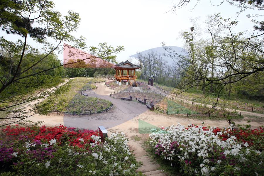 봉재산의 1번째 이미지