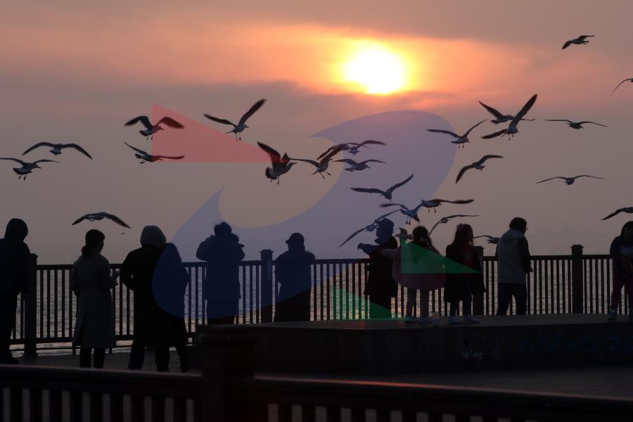 솔찬공원의 1번째 이미지