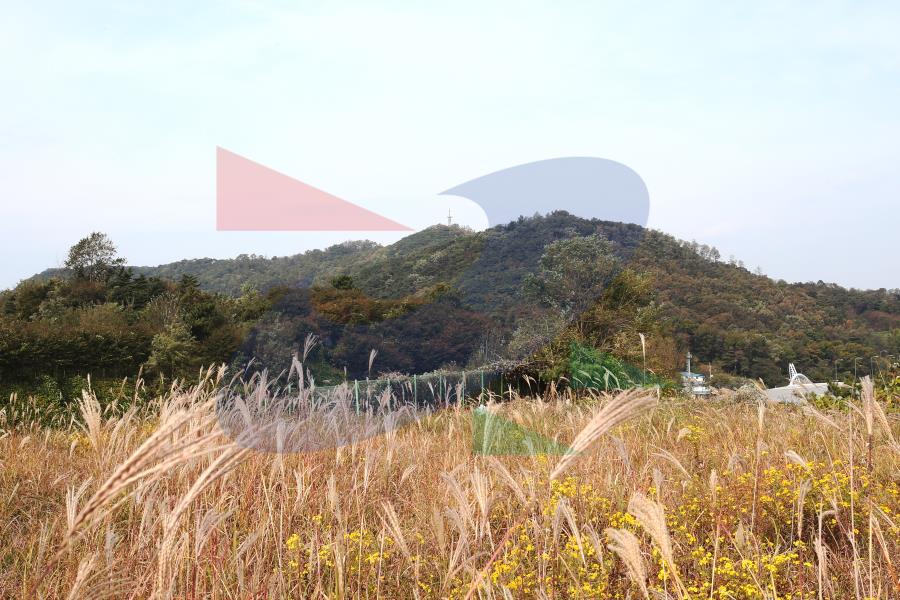 둘레길 청량산,봉재산 구간의 1번째 이미지