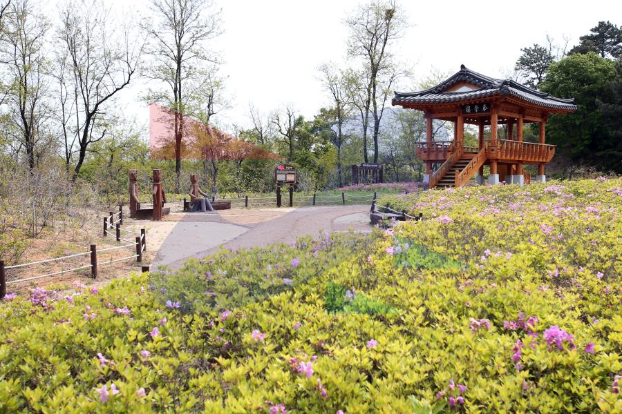 둘레길 청량산,봉재산 구간의 4번째 이미지