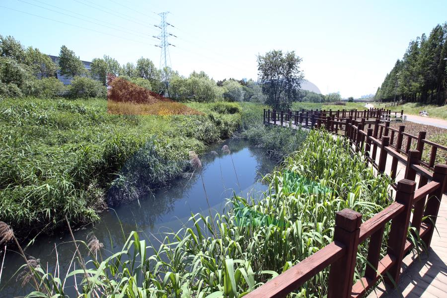 승기천의 2번째 이미지