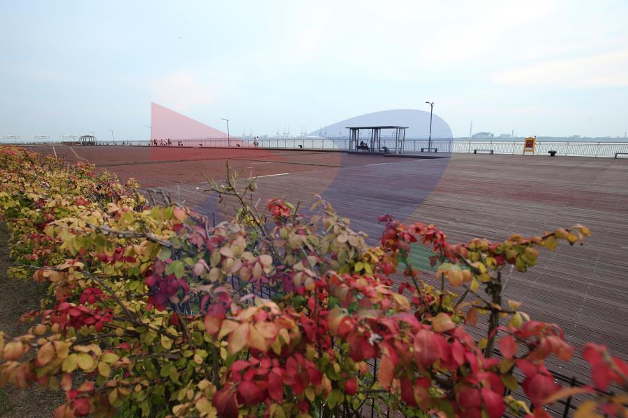 솔찬공원의 3번째 이미지