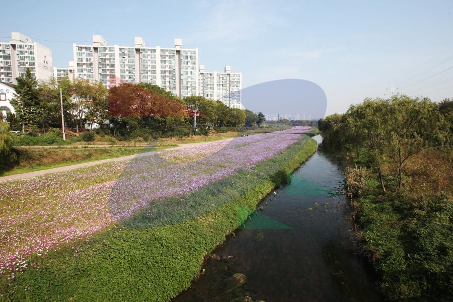 승기천의 3번째 이미지
