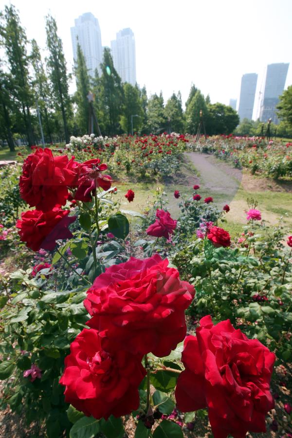 해돋이공원의 5번째 이미지