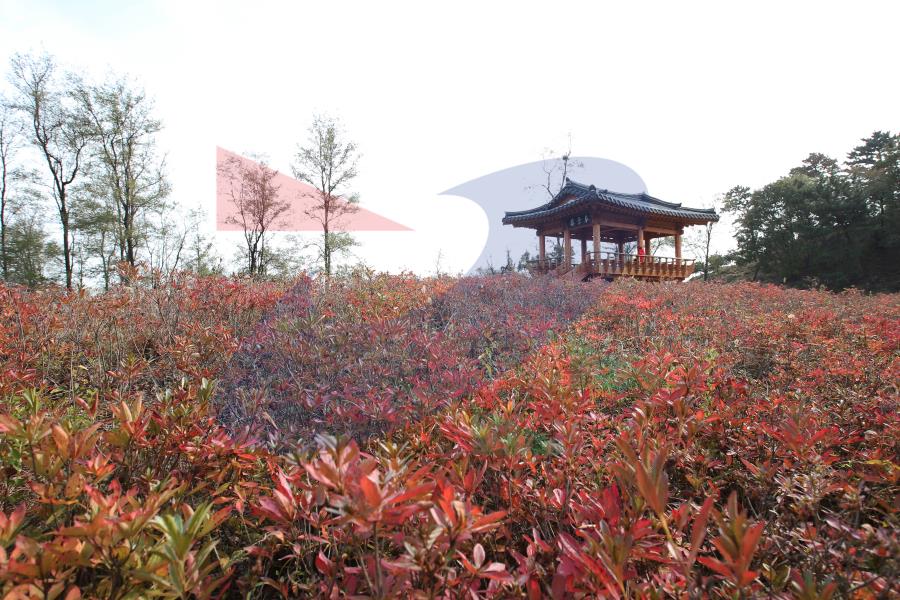 둘레길 청량산,봉재산 구간의 2번째 이미지