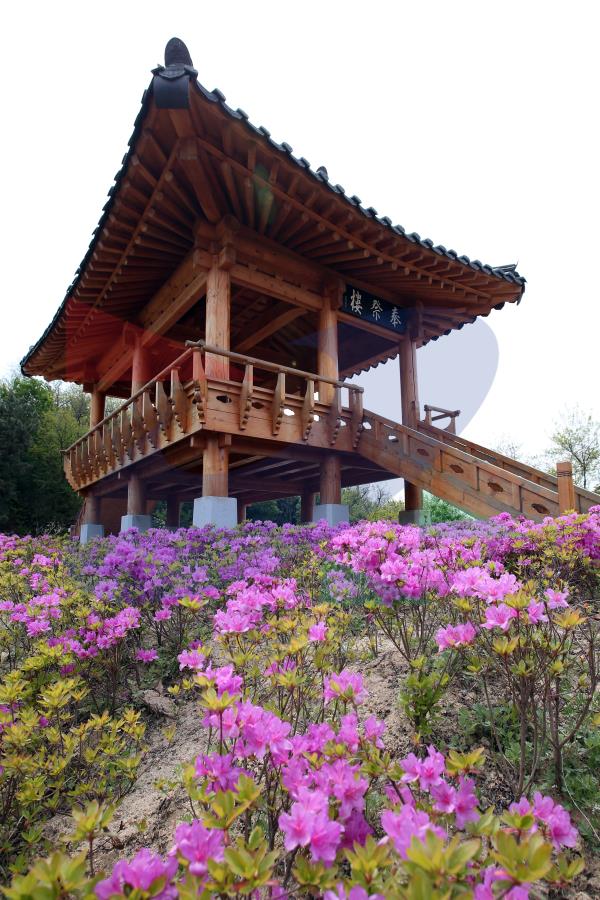 봉재산의 4번째 이미지