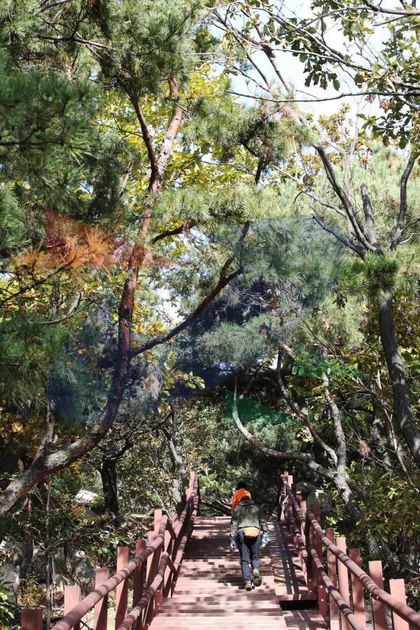 청량산의 4번째 이미지