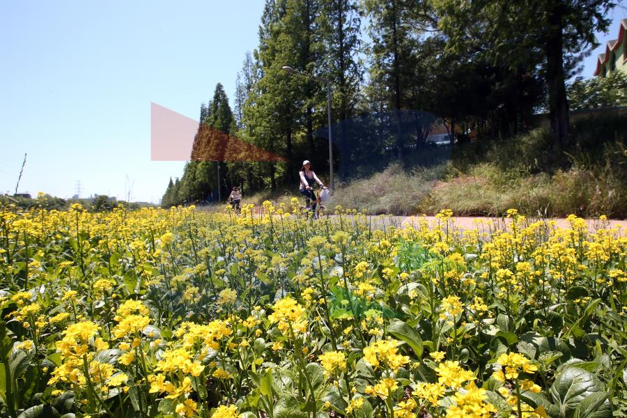 둘레길 승기천 구간의 4번째 이미지