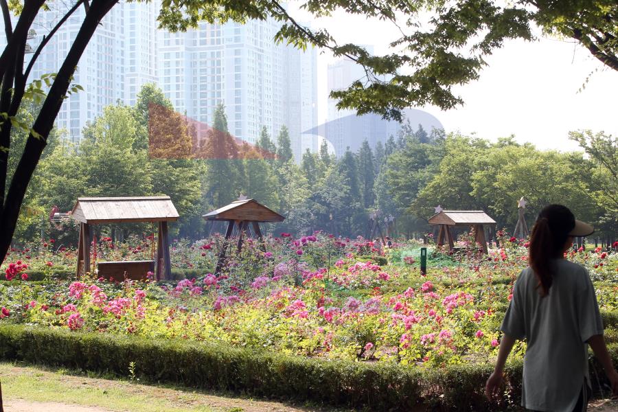 해돋이공원의 3번째 이미지