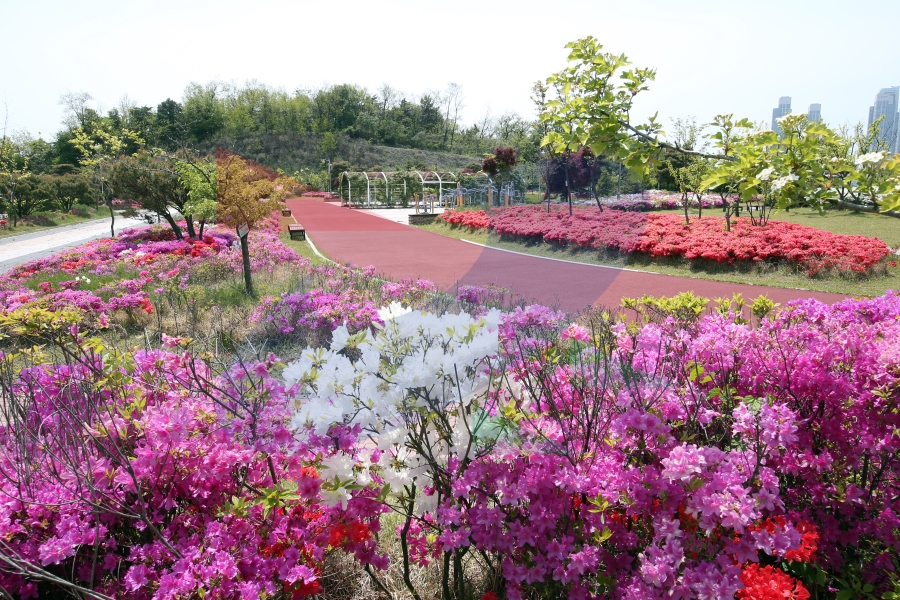 푸른송도배수지의 4번째 이미지