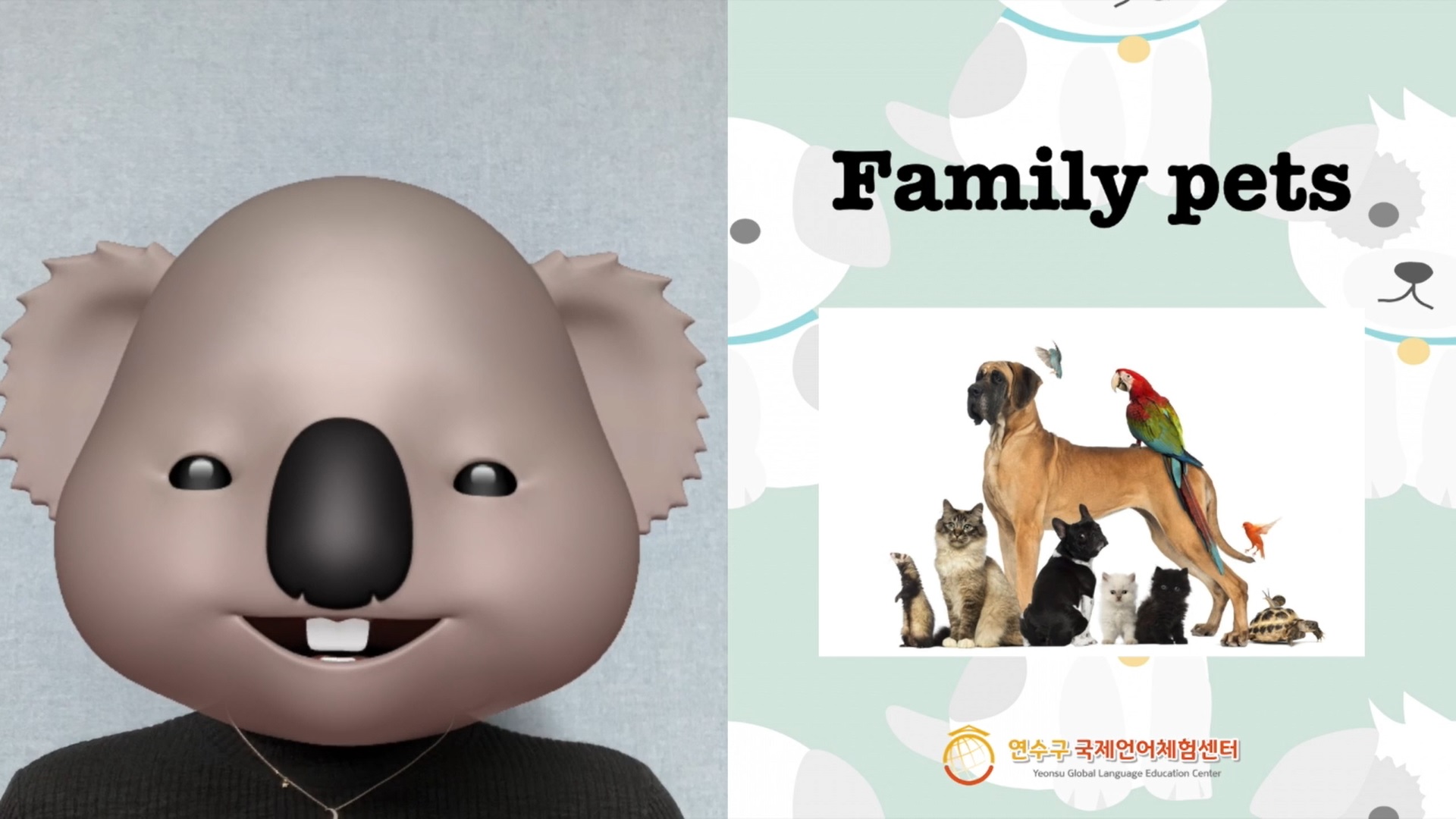 [초1,2]Pets - Kids Champ(by Yeonsu Squad)이미지