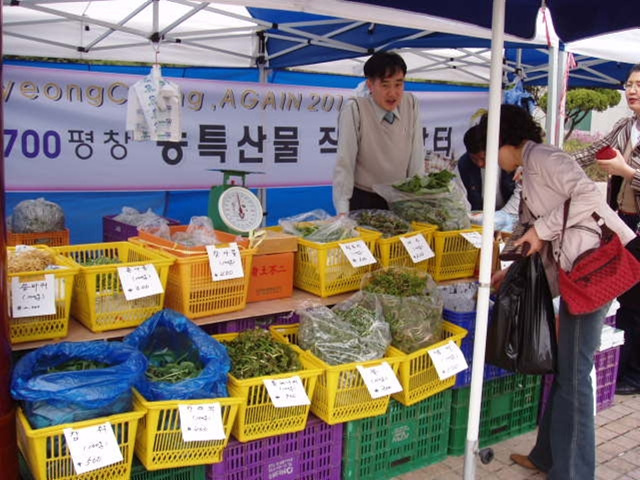 봄향기 가득한 봄나물 직거래장터 개장의 3번째 이미지