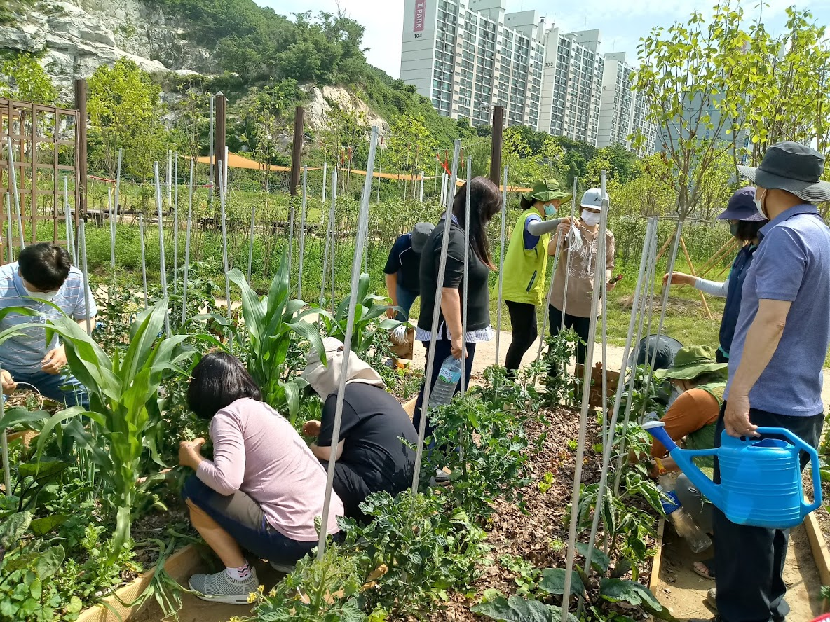 연수구, 연수도시농부학교 2기 모집의 1번째 이미지
