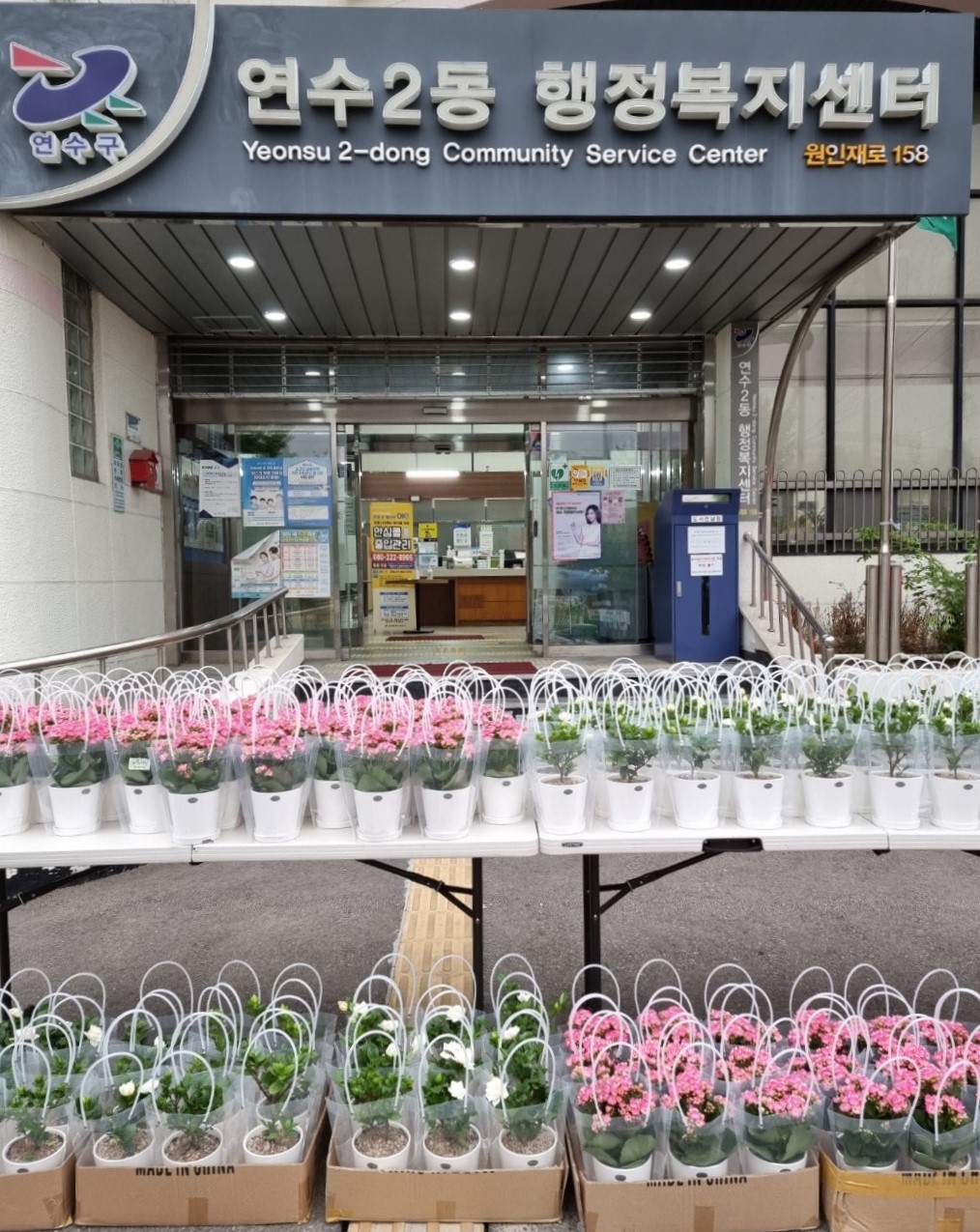 연수2동, 어버이날 기념 150명 꽃 화분과 간식 전달의 2번째 이미지