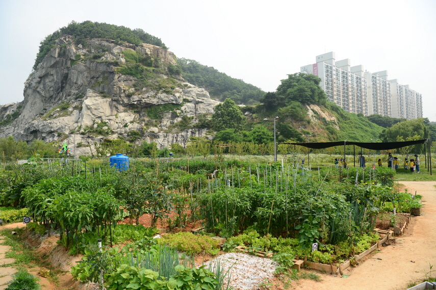연수구, 2022년도 도시텃밭 참여자 모집 성료의 2번째 이미지