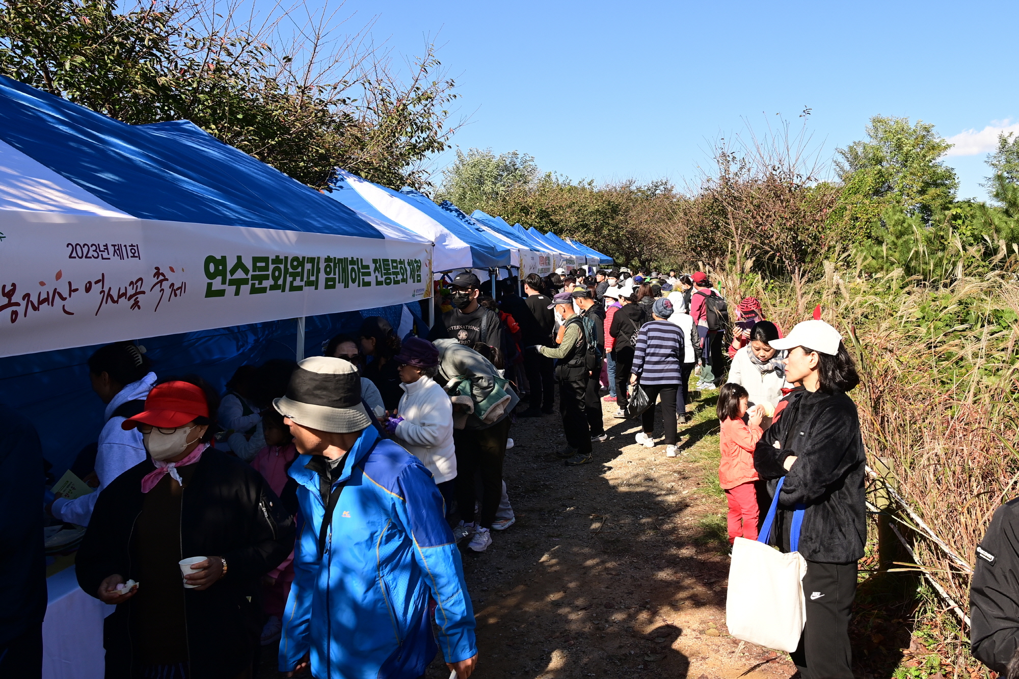 동춘1동, ‘제1회 봉재산 억새꽃 축제’ 성공적 마무리