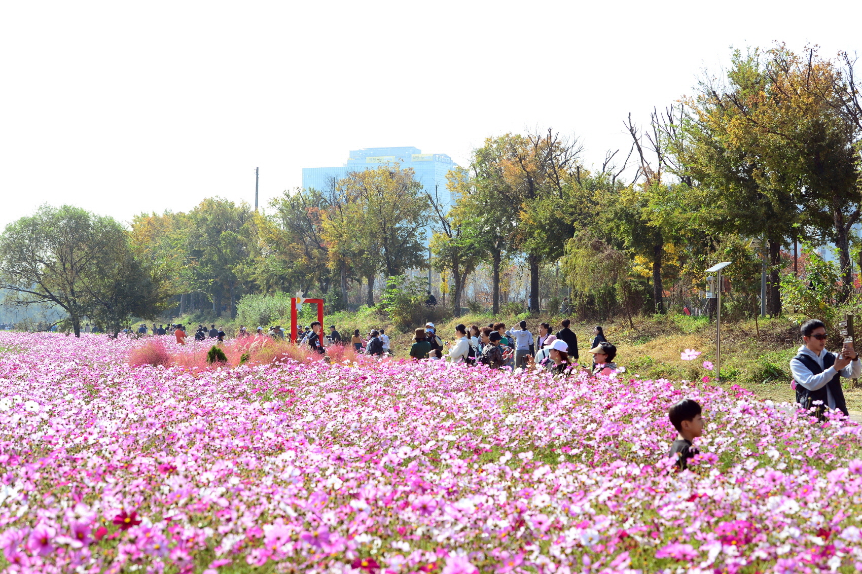 연수구, 승기천서 ‘제5회 환경사랑 걷기대회’ 성황