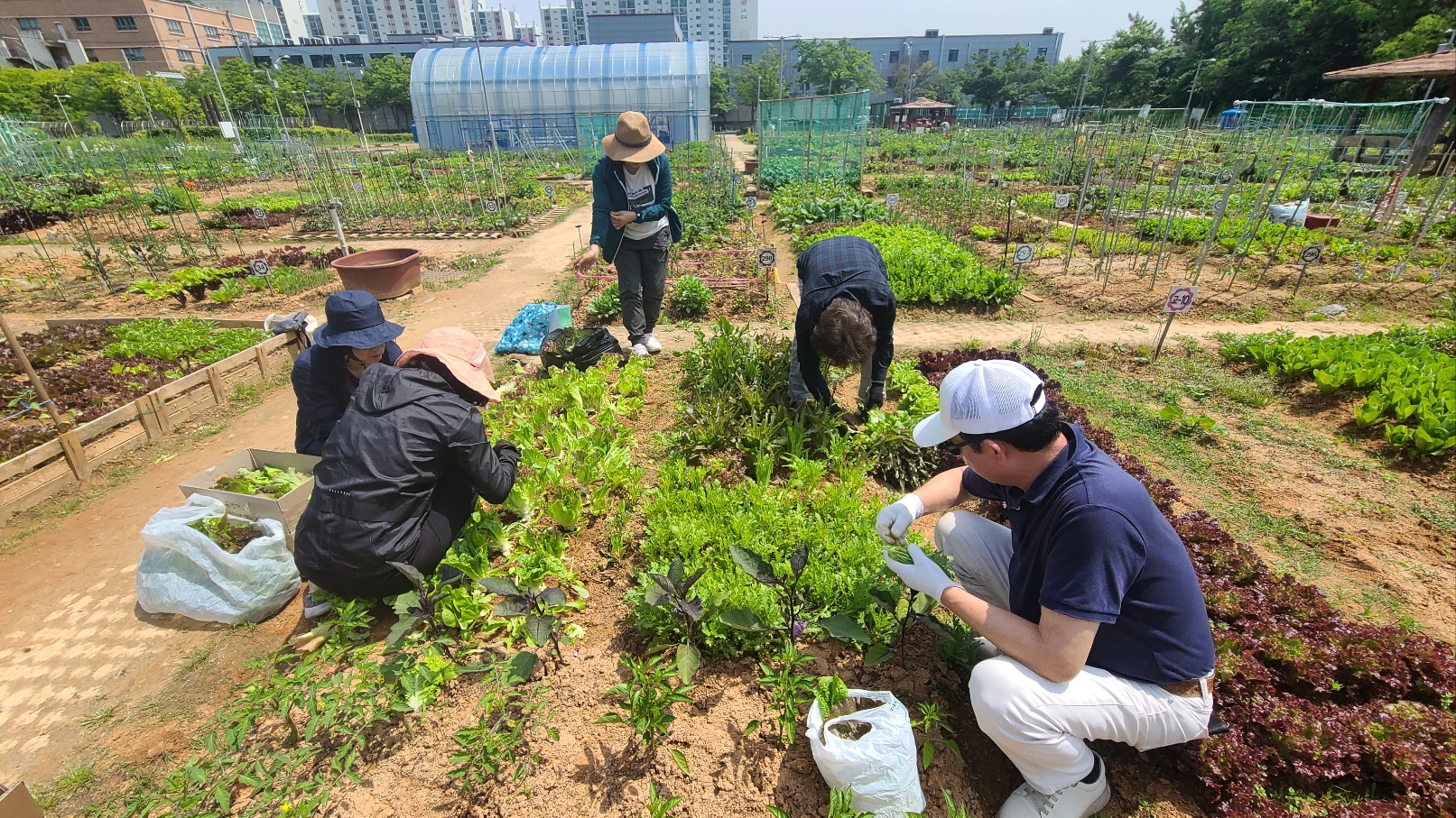 송도3동 지사협, 저소득가정 위한 ‘사랑의 찬 나눔사업’