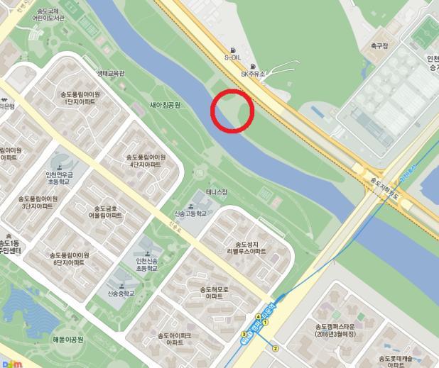 연수구 송도동 달빛공원으로 활짝 핀 해바라기 보러오세요의 1번째 이미지