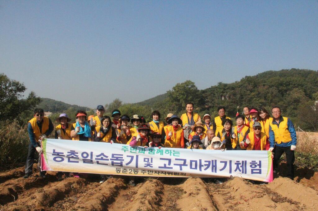 동춘2동 주민자치위원회, 고구마캐기체험 실시의 1번째 이미지