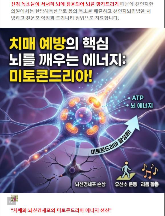 내 몸과 소통의 1번째 이미지