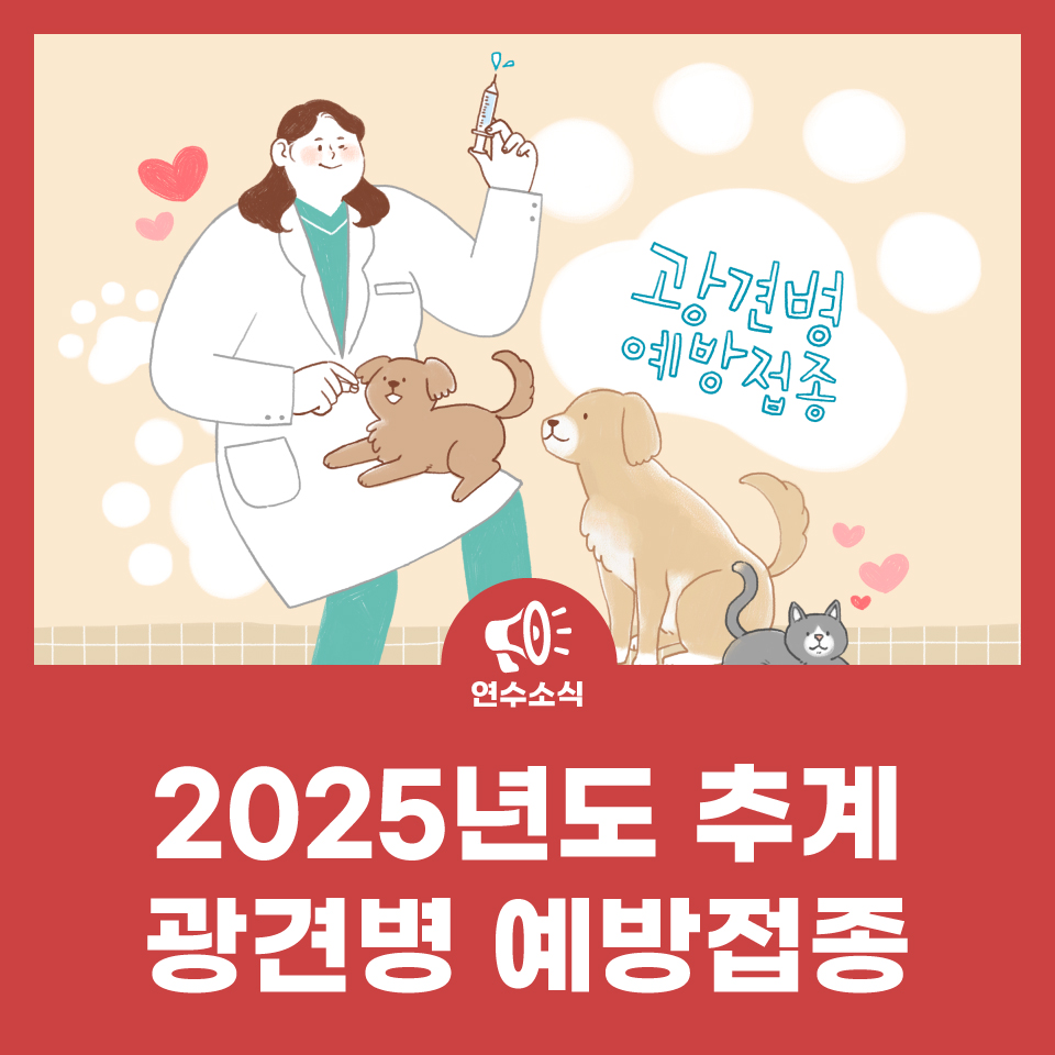 2025년도 추계 광견병 예방접종 사진