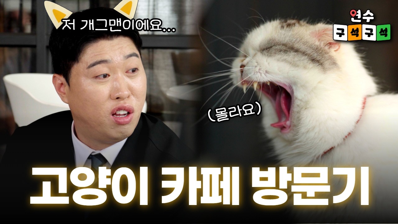 송하빈+고양이🐱? 무조건 조회수 대박각 | 1화 마마스캣카페 사진
