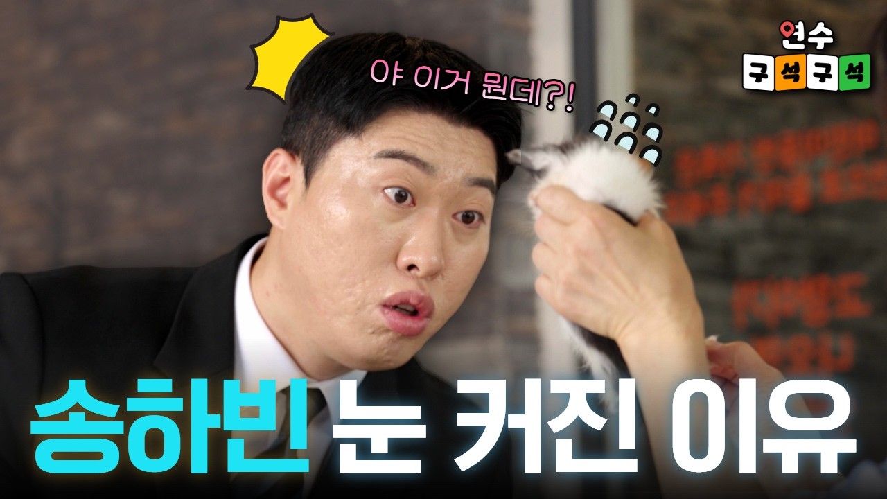 [연수구석구석] 송하빈이랑 고양이😸 나오는데 안 볼거야? | 2회 마마스캣카페 사진