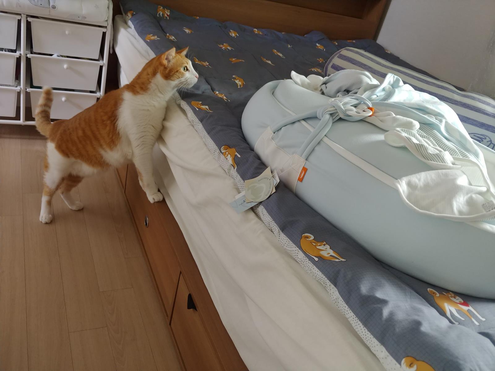 연수네컷 반려동물 사연 이예요^-^의 3번째 이미지