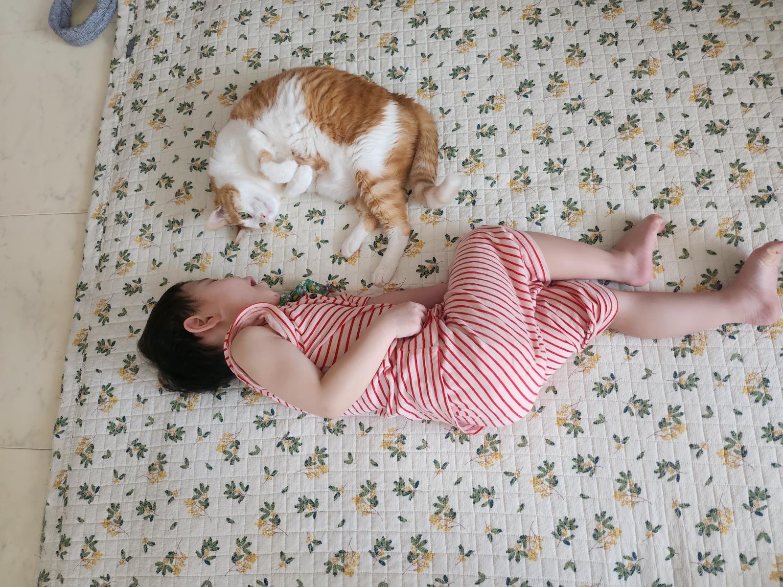 연수네컷 반려동물 사연 이예요^-^의 1번째 이미지