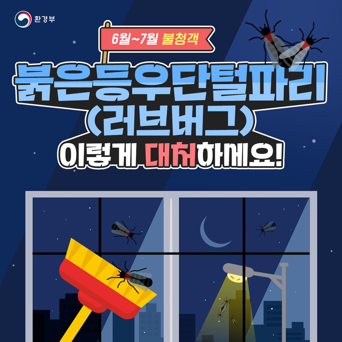 6~7월 불청객 붉은등우단털파리(러브버그) 이렇게 대처하세요! 이미지